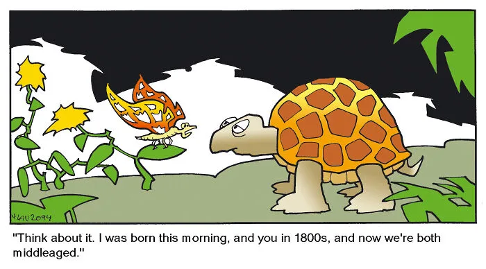 "Peculiar Light": My 40 Comics