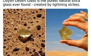 “Hotdog Stand”: 50 Unusual And Bizarre Discoveries That Stunned Desert Explorers