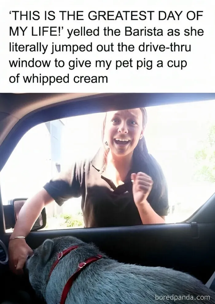 45 Funny And Polite Memes That Don't Laugh At Anyone's Expense, As Shared By This Facebook Page