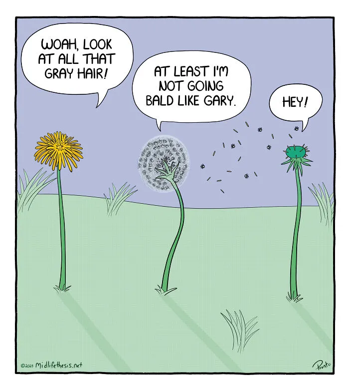 “Midlife Thesis”: Here Are 25 Of My Funniest Single-Panel Cartoons