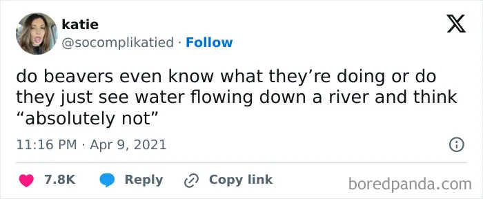 Kind-Humour-Memes
