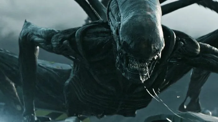 30 “I’m Sorry, What!?” Takes On Movies By People Who Missed The Point, As Shared Online