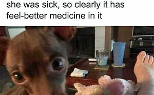 50 Dog Memes Guaranteed To Make You Smile