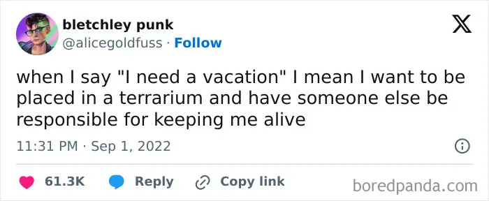 50 Hilariously Relatable Memes From ‘Cheerful Nihilism’