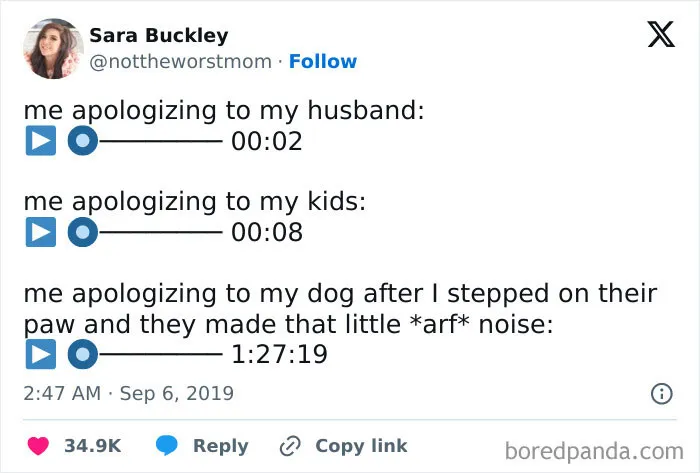 Humorous meme comparing brief apologies to husband and kids with a long apology to a dog after stepping on its paw.