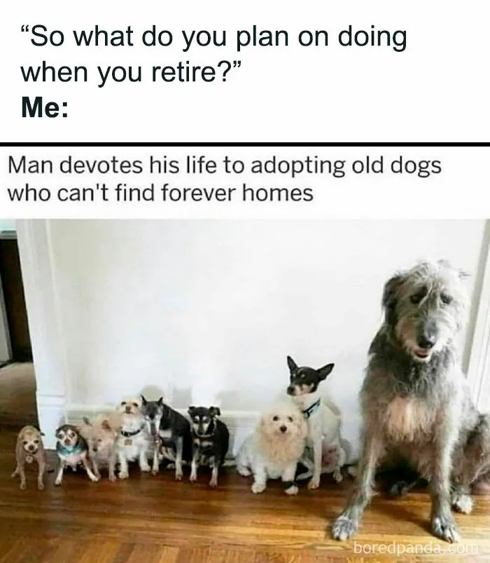Retirement Goals: “Saving Senior Pups One Dog at a Time”