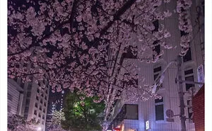 26 Cool Posts About All Things Japan That Prove It's A Country Like No Other