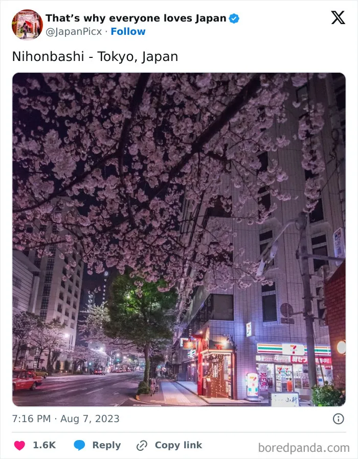 Everyone-Loves-Japan-Pictures