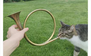 This Twitter Page Is Dedicated To Mischievous Animals And Here Are 50 Of Their Best Pics (New Pics)