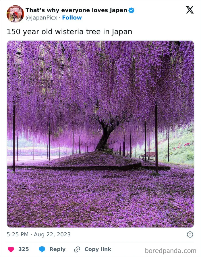 26 Cool Posts About All Things Japan That Prove It's A Country Like No Other