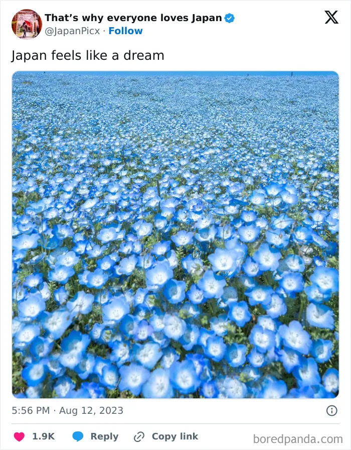 26 Cool Posts About All Things Japan That Prove It's A Country Like No Other