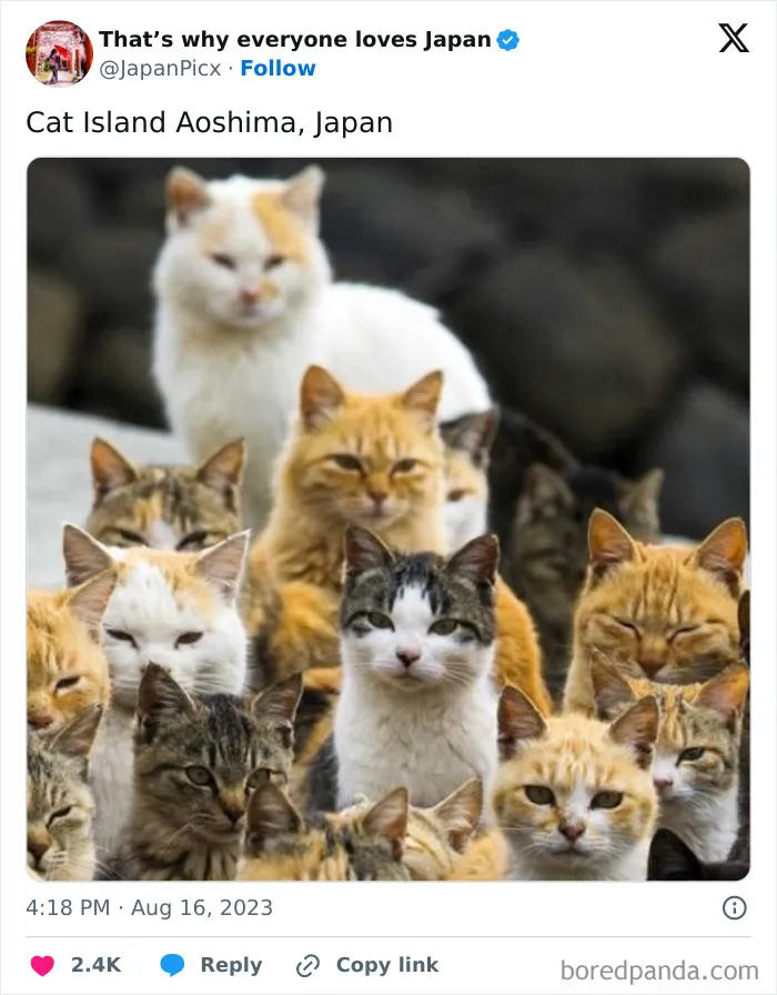 26 Cool Posts About All Things Japan That Prove It's A Country Like No Other