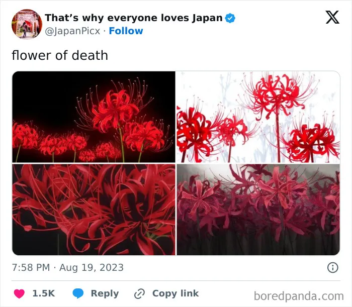 26 Cool Posts About All Things Japan That Prove It's A Country Like No Other
