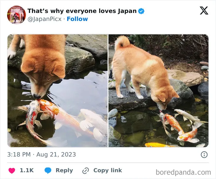 26 Cool Posts About All Things Japan That Prove It's A Country Like No Other