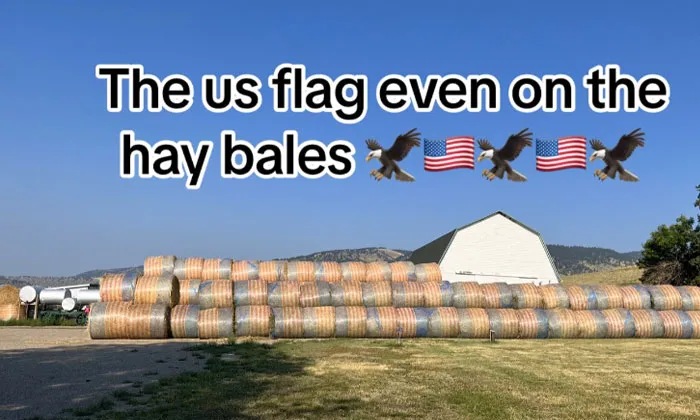 “Pavement Just Randomly Ends”: 30 Common USA Things That Confuse Foreigners