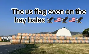 “Pavement Just Randomly Ends”: 30 Common USA Things That Confuse Foreigners