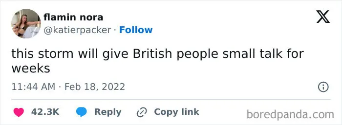 50 Of The Most ‘British Memes’ To Transport You To The Land Of Tea And Crumpets