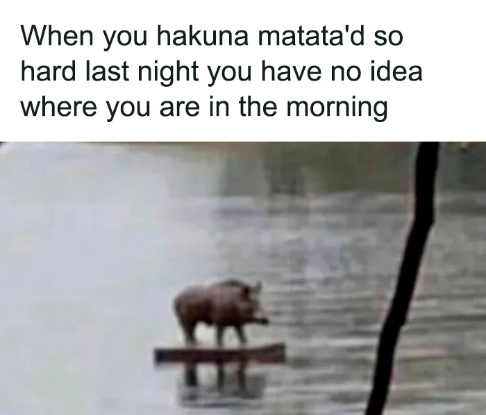 50 Hilariously Relatable Memes, As Seen On This IG Page