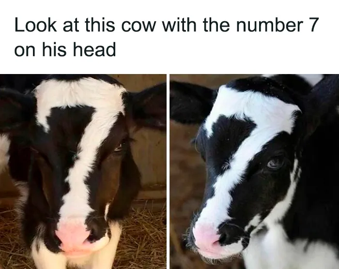 50 Hilariously Relatable Memes, As Seen On This IG Page