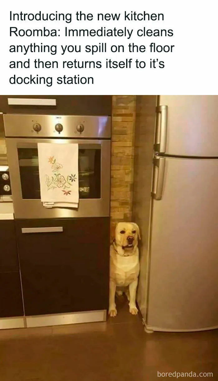 Introducing the Kitchen "Roomba"