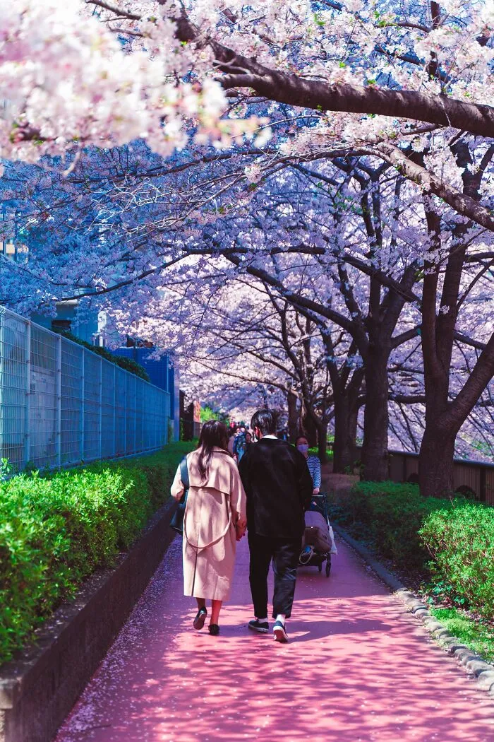 “For Tomorrow”: I Returned To Japan After The Pandemic, Here’s What I Saw (23 Pics)