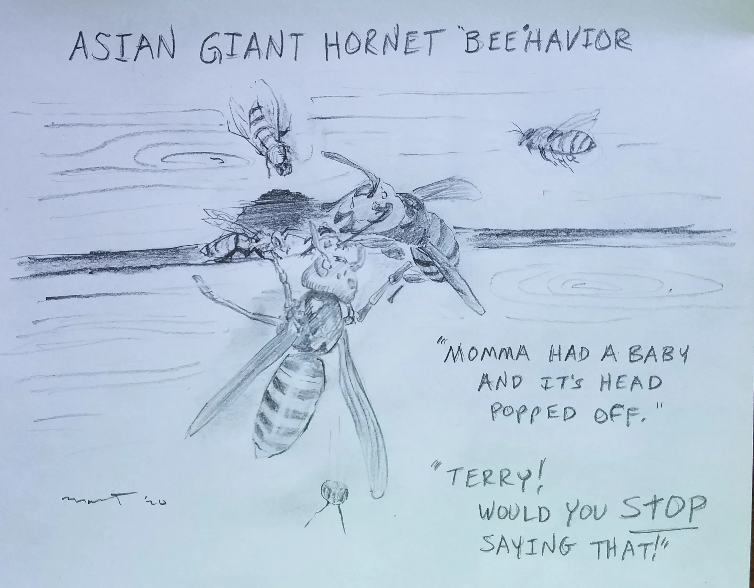 Giant Hornet