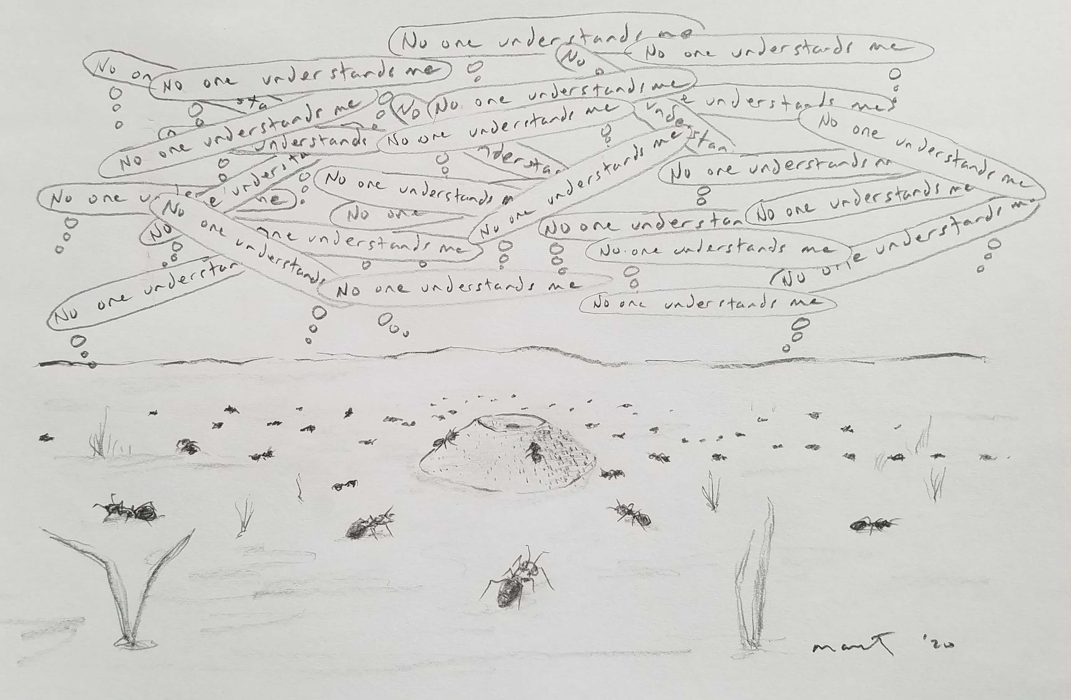 Ants