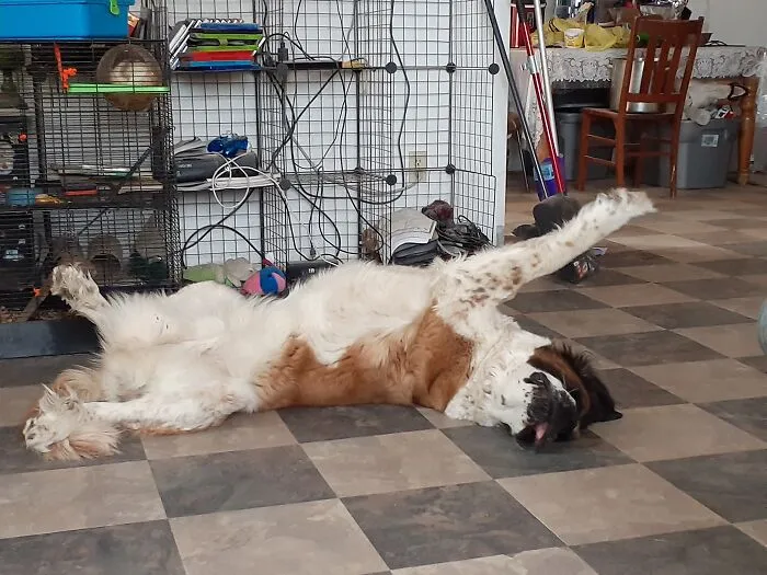 She Can Sleep Anywhere, Anytime!