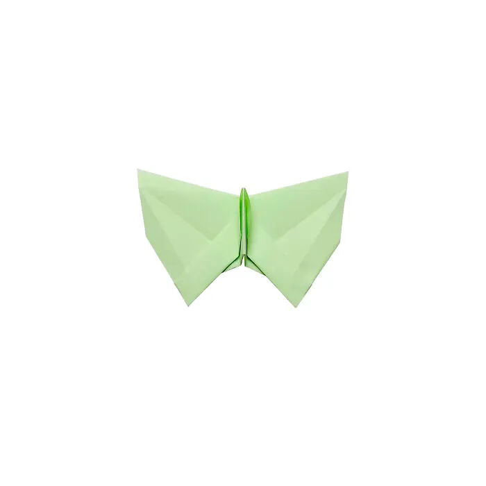 I Made Over 1000 Origami Butterflies (22 Pics)