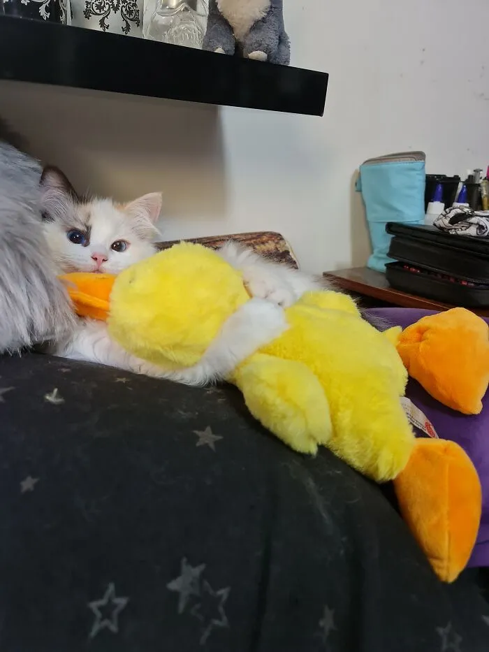 My Lenka And Her Duckie