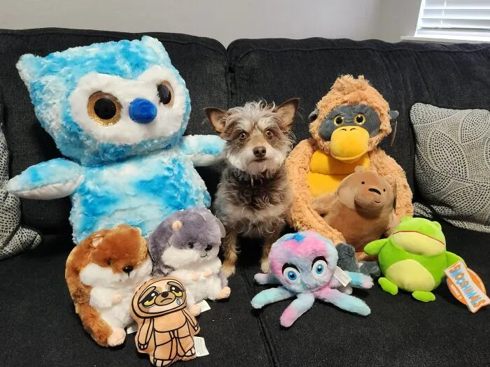 Where's Delilah?!