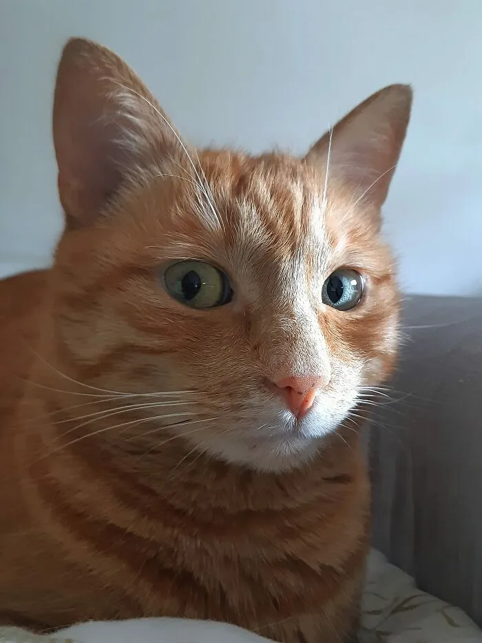 Side Eye
