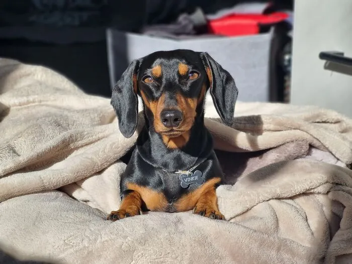 Favorite Spot In The Sun