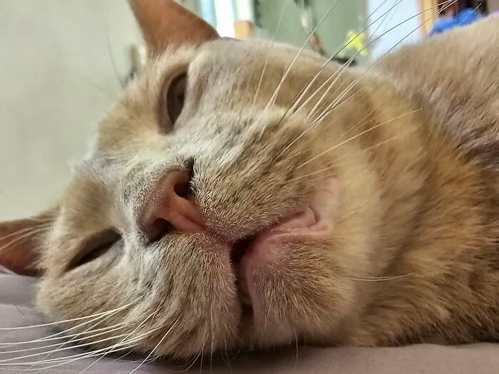 Snuggling Up Close
