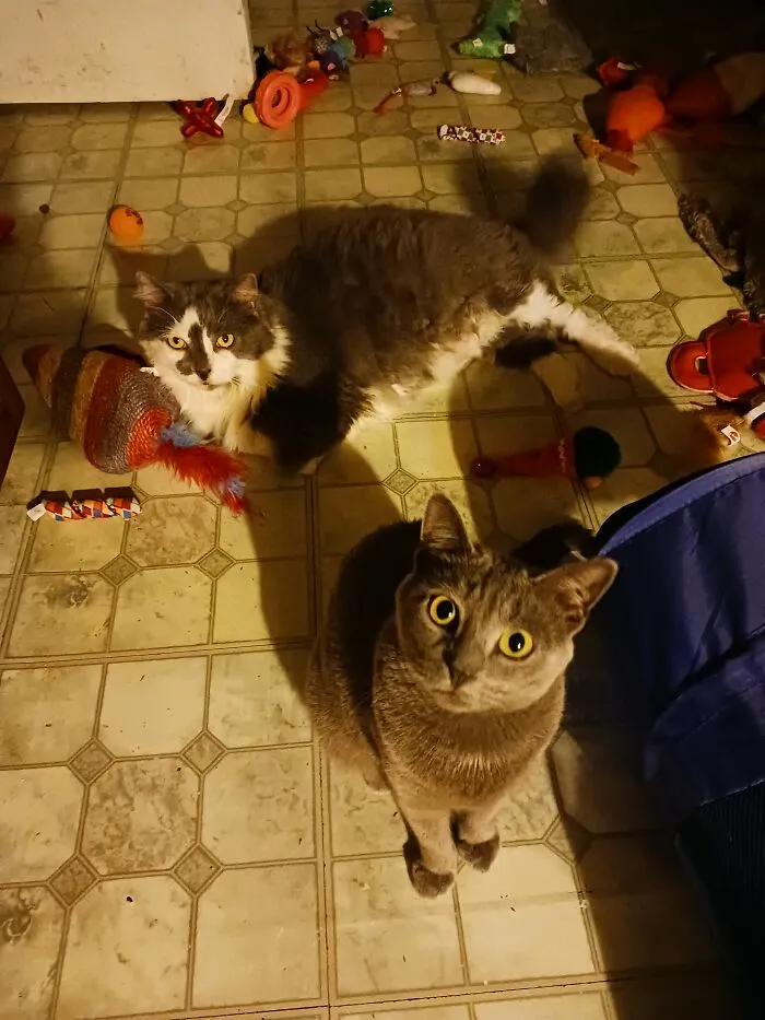 Troublemakers