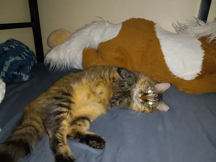 Fizgig