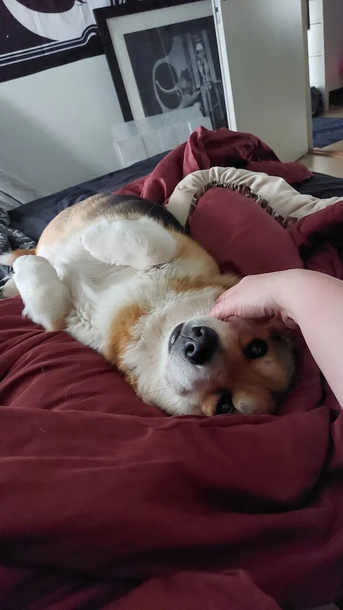 I Have A Fever And He Keeps Me Company The Whole Time