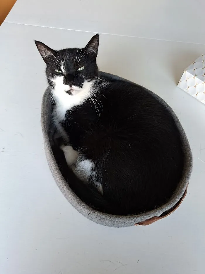 Her Favourite Place To Sleep