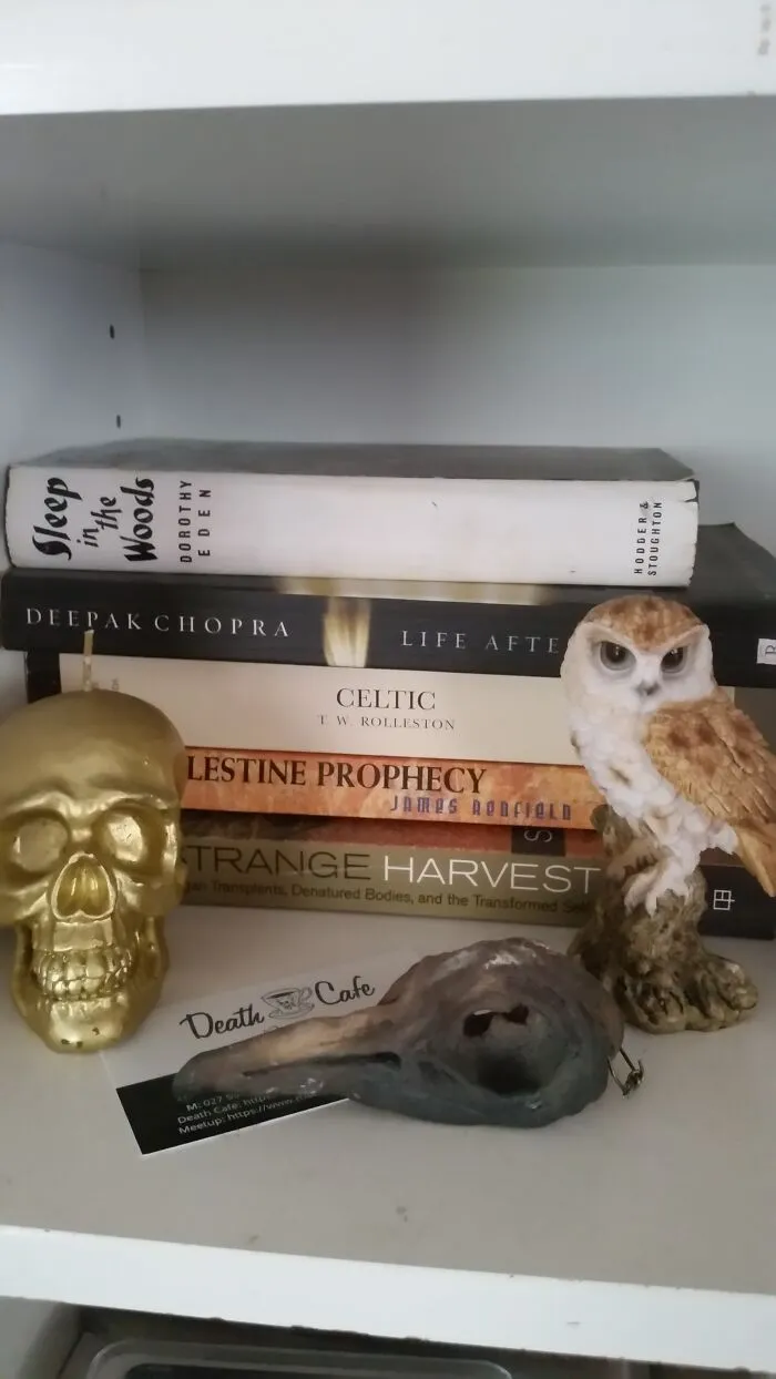 The Morbid Corner