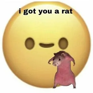 rat
