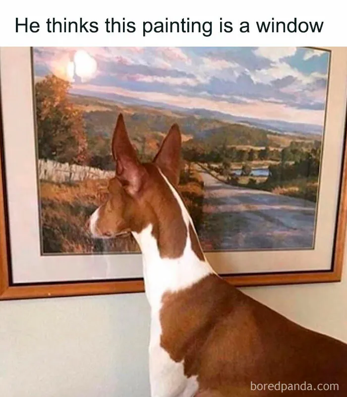 Dog humorously looks at a painting, thinking it's a window.