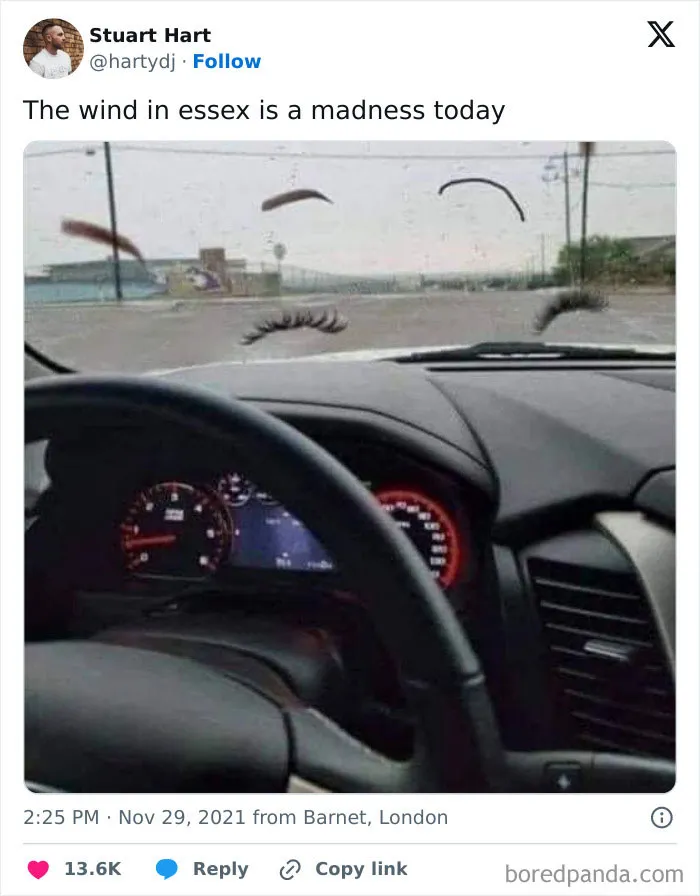 50 Of The Most ‘British Memes’ To Transport You To The Land Of Tea And Crumpets