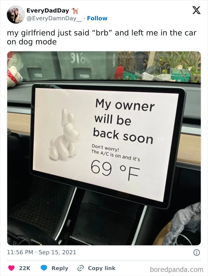 Left on “Dog Mode”