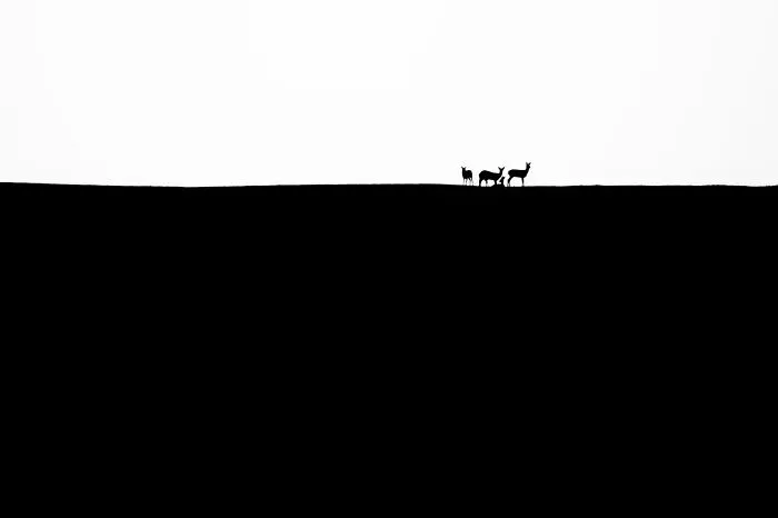 “Walk On The Hill”, Ákos Őrsi