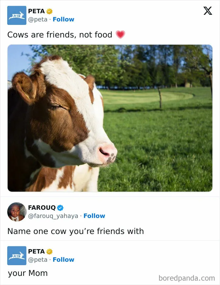 This Always Makes Me Laugh