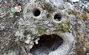 A Stage Of Expressions: I Find Funny Faces In Everyday Objects, Here Are 30 Of My Pareidolia Pics