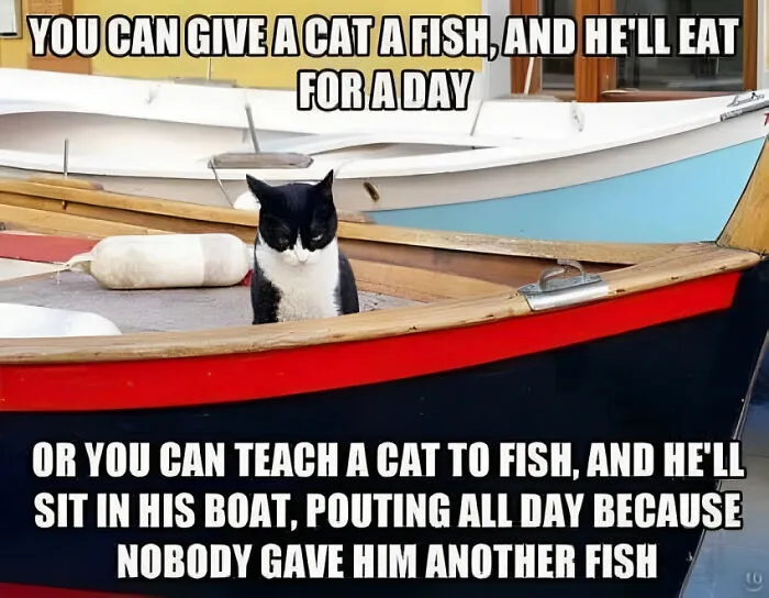 45 Funny And Polite Memes That Don't Laugh At Anyone's Expense, As Shared By This Facebook Page