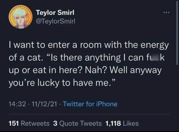 50 Hilariously Relatable Memes From ‘Cheerful Nihilism’
