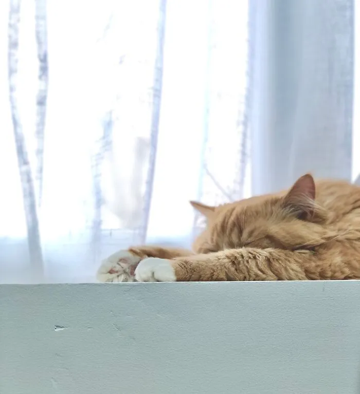 Sleepy