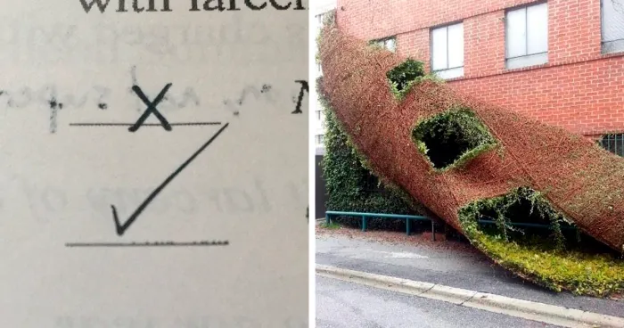 20 Cosas extrañamente satisfactorias que le encantarán a tu perfeccionista interior (Nuevas fotos)